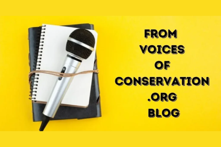 the voicesofconservation.org blog